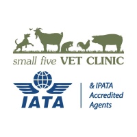Small Five Vet